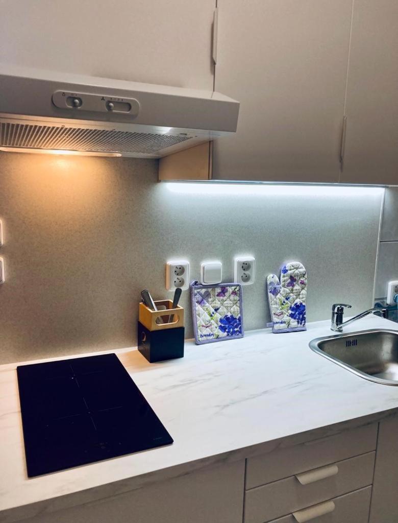 Apartmany, Penzion, Wellness U Zlate Rybky Vyskov Ngoại thất bức ảnh