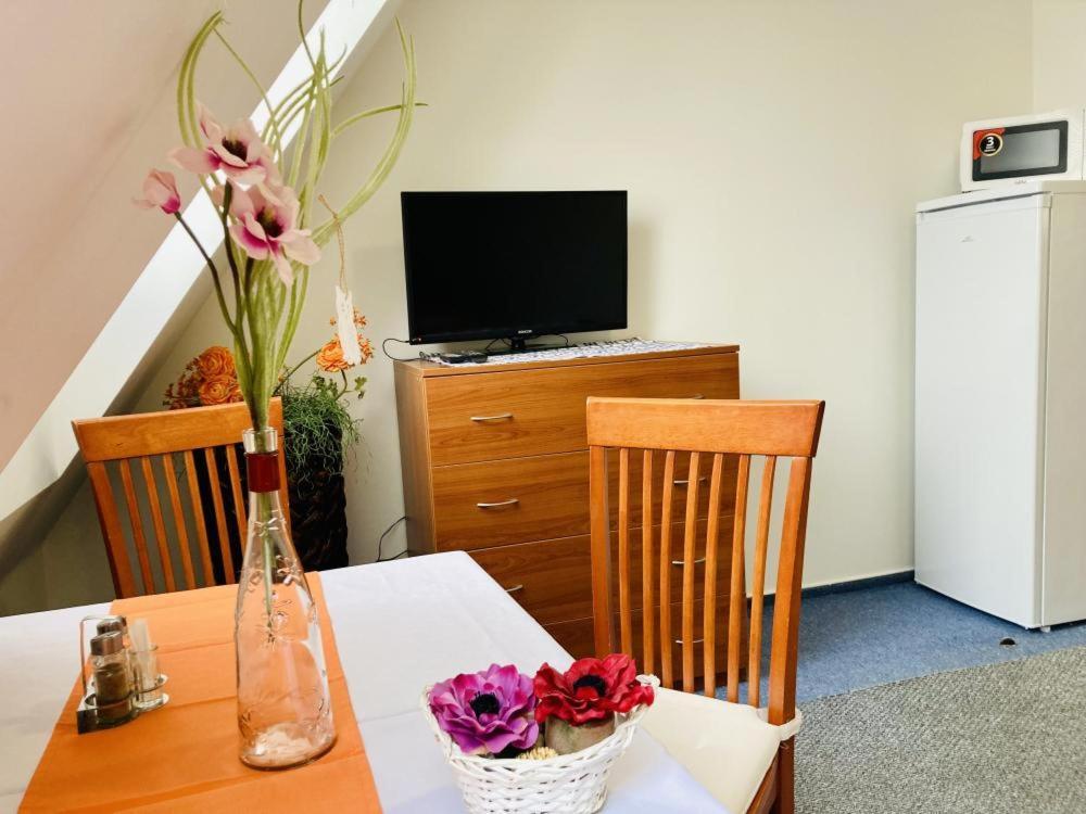 Apartmany, Penzion, Wellness U Zlate Rybky Vyskov Ngoại thất bức ảnh